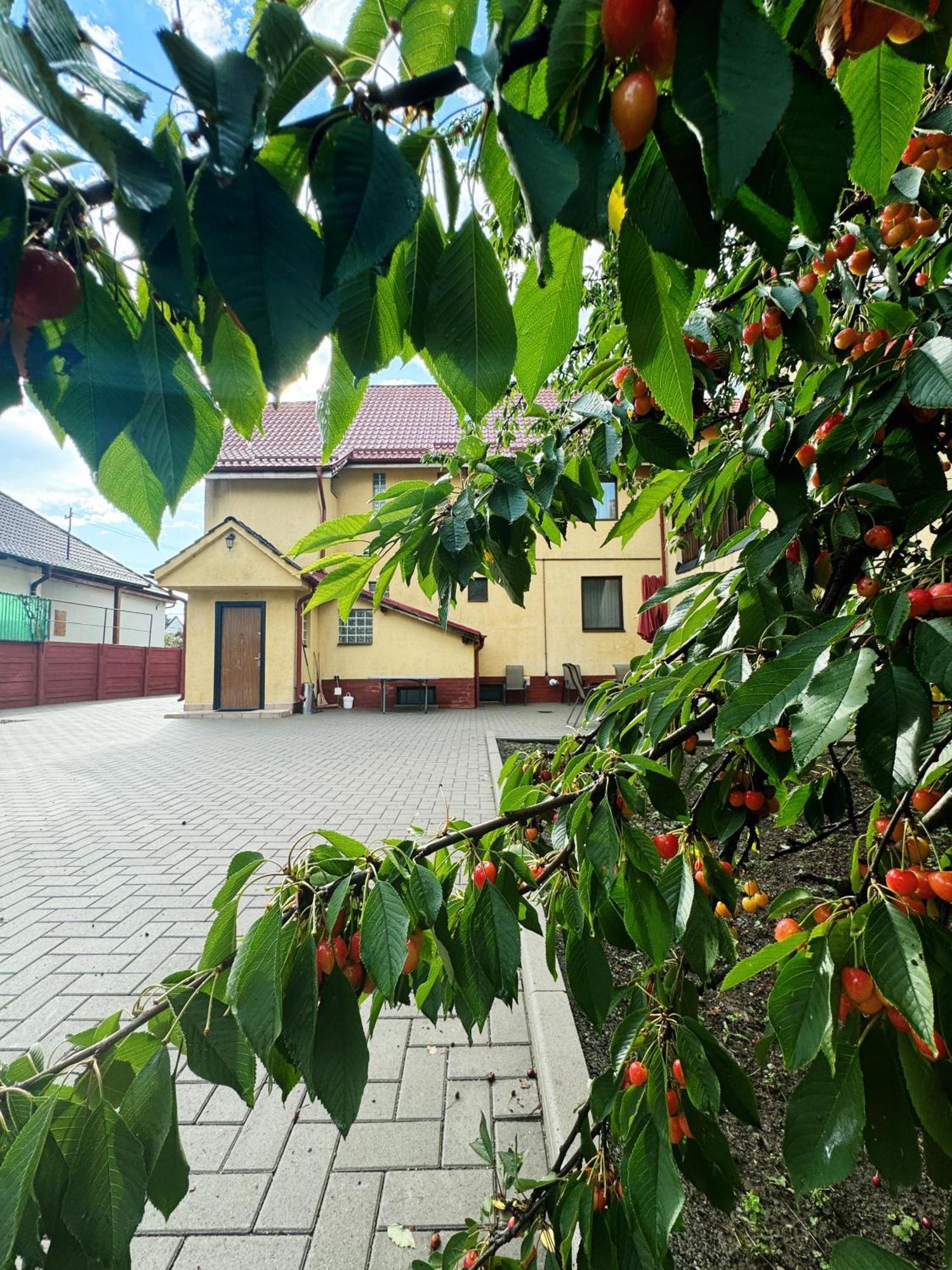Carpathian Newstar Hotel ซีบิว ภายนอก รูปภาพ